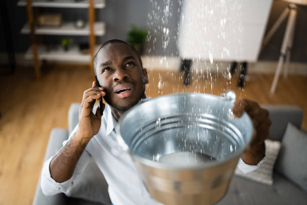 Best Mold removal after water damage  in Glyndon, MN