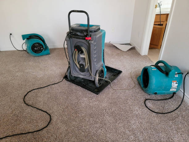 Best Water damage restoration near me  in Glyndon, MN