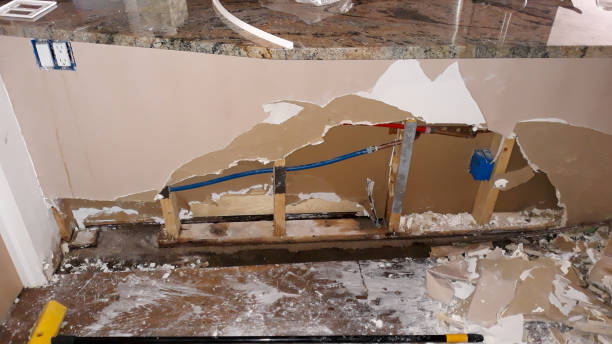 Best Carpet water damage restoration  in Glyndon, MN